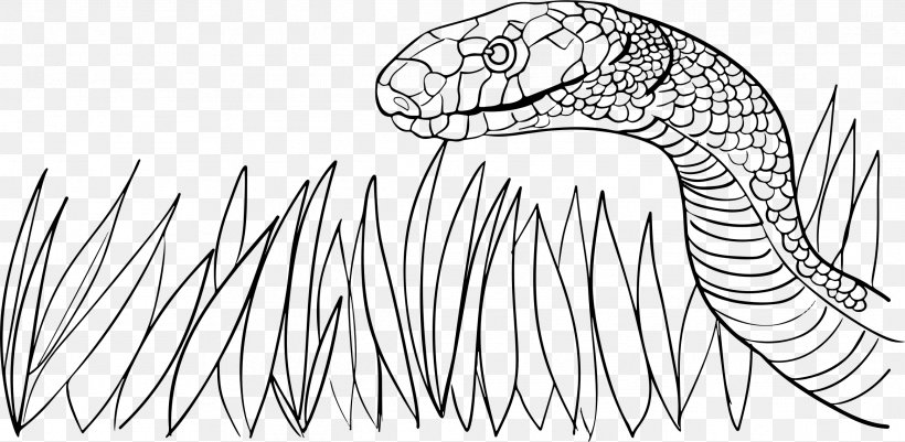 Mongoose Snake Vipers Cobra Clip Art, PNG, 2331x1142px, Mongoose, Animal, Area, Artwork, Black And White Download Free