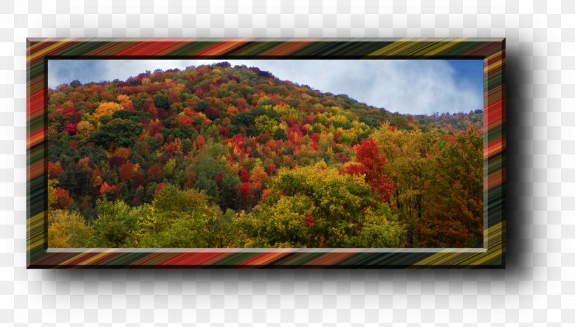 Painting Landscape Picture Frames Flower, PNG, 1024x582px, Painting, Autumn, Flower, Landscape, Picture Frame Download Free