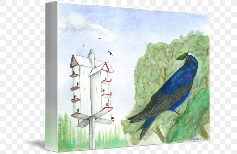 Watercolor Painting Feather Gallery Wrap Picture Frames, PNG, 650x533px, Painting, Art, Beak, Bird, Canvas Download Free