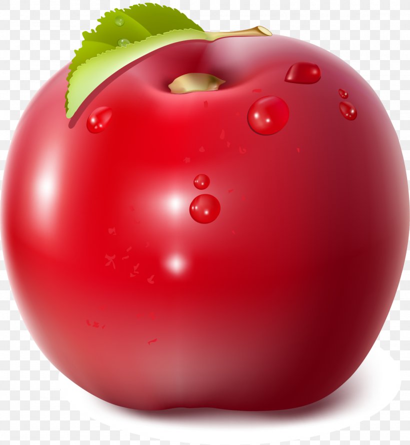 Apple Tomato Clip Art, PNG, 1500x1628px, Apple, Accessory Fruit, Auglis, Cranberry, Diet Food Download Free