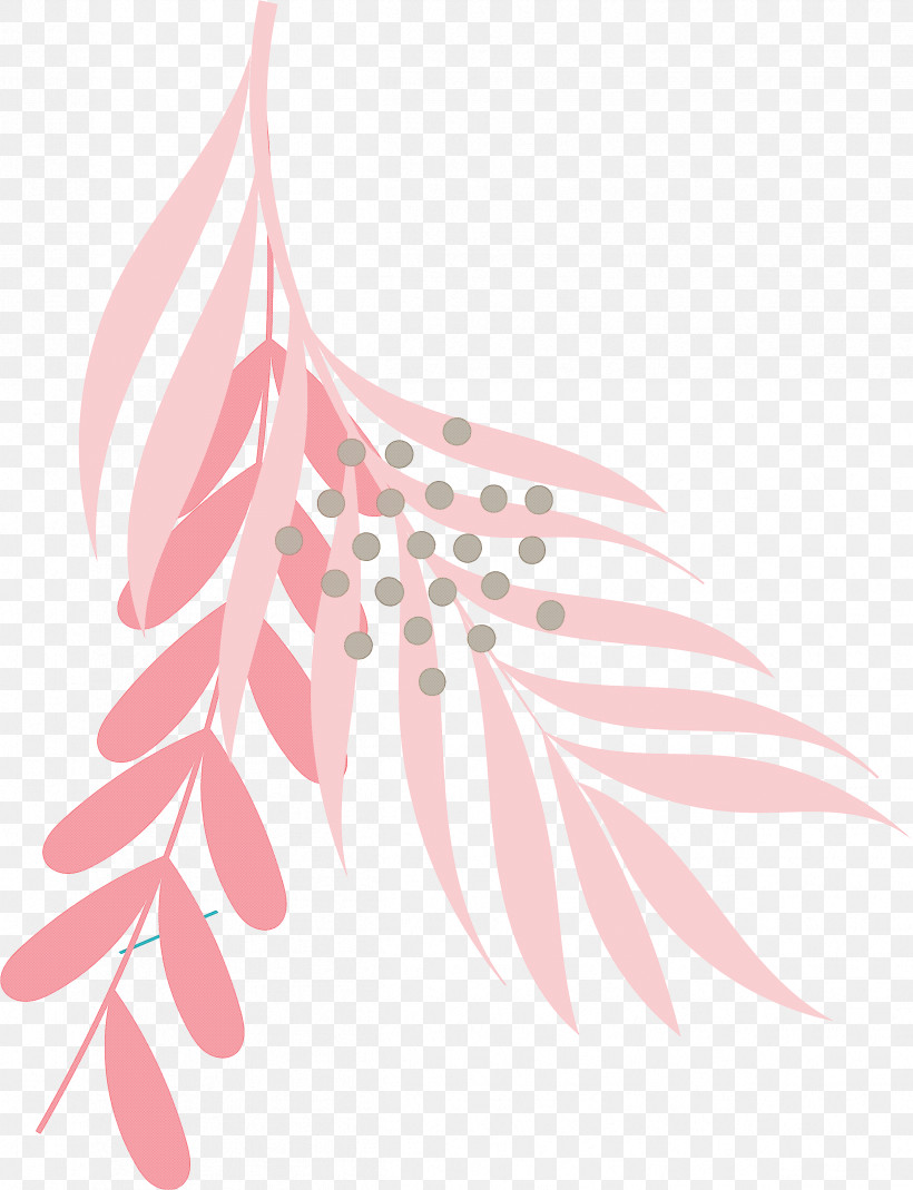 Feather, PNG, 2423x3161px, Feather, Biology, Flower, Leaf, Line Download Free
