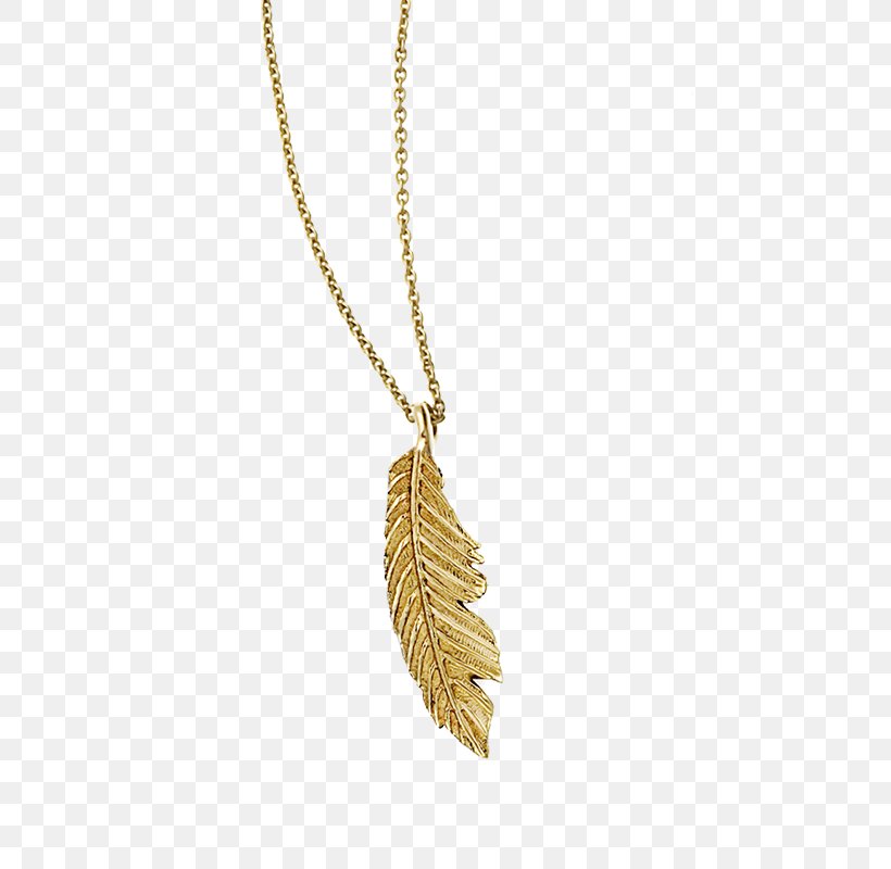 Necklace Charms & Pendants Feather, PNG, 800x800px, Necklace, Chain, Charms Pendants, Fashion Accessory, Feather Download Free