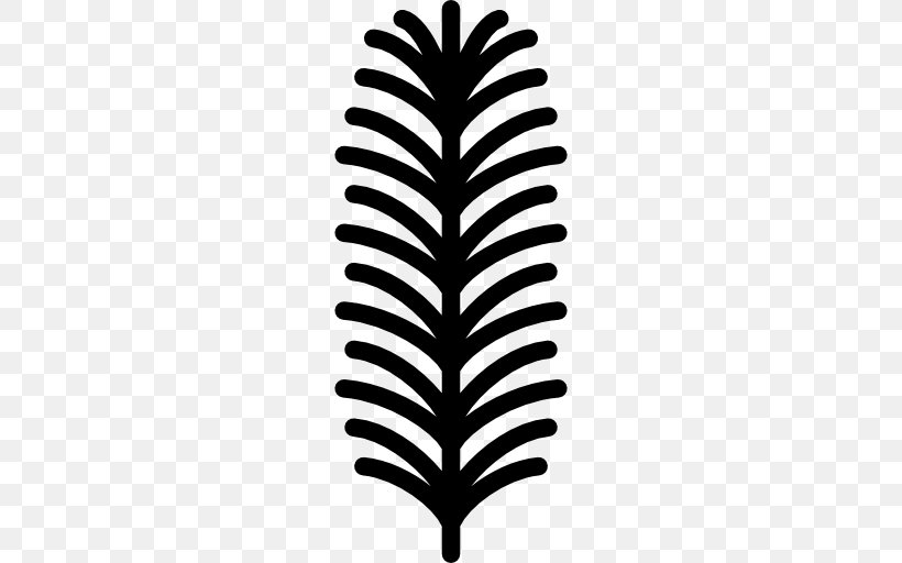 English Yew, PNG, 512x512px, English Yew, Black And White, Branch, Conifers, Leaf Download Free