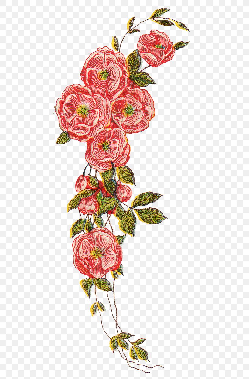 Flower Floral Design Clip Art, PNG, 516x1248px, Flower, Art, Cut Flowers, Drawing, Flora Download Free