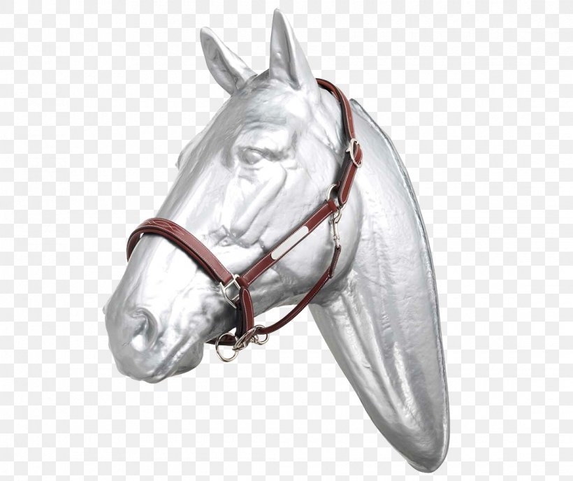 Horse Tack Bridle Halter Girth, PNG, 1120x940px, Horse, Bridle, Dressage, English Riding, Equestrian Download Free