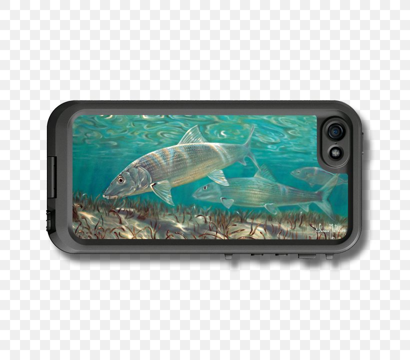 Bonefish Fishing Yellowfin Tuna Atlantic Bluefin Tuna, PNG, 720x720px, Bonefish, Art, Atlantic Bluefin Tuna, Canvas Print, Fauna Download Free