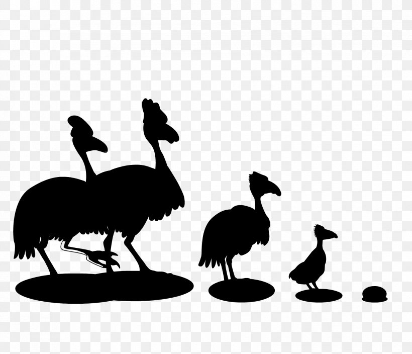 Common Ostrich Emu Clip Art Fauna Beak, PNG, 1778x1528px, Common Ostrich, Beak, Bird, Chicken As Food, Duck Download Free