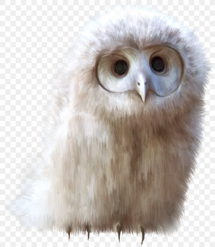 Snowy Owl Bird Barn Owl, PNG, 1322x1514px, Owl, Animal, Barn Owl, Beak, Bird Download Free