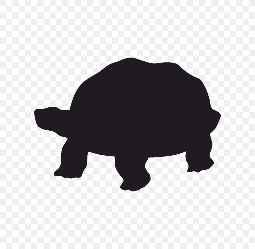 Teenage Mutant Ninja Turtles Silhouette Tortoise Stencil, PNG, 800x800px, Turtle, Animal Figure, Art, Black, Black And White Download Free