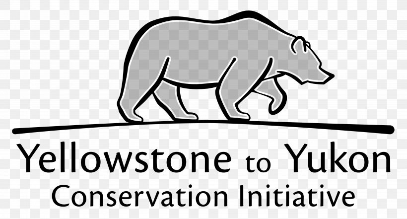 Yellowstone National Park Yellowstone To Yukon Conservation Initiative Jackson Hole, PNG, 3900x2100px, Yellowstone National Park, Area, Bear, Black And White, Brand Download Free