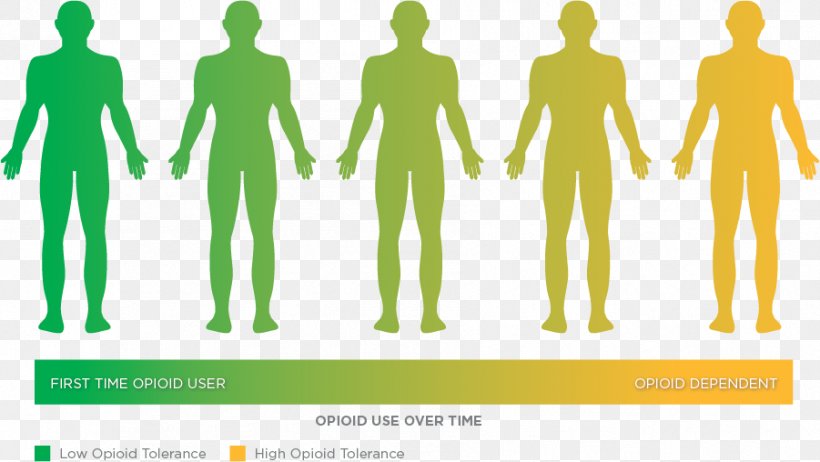 Opioid Use Disorder Naltrexone Addiction Drug Tolerance, PNG, 901x508px, Opioid, Addiction, Alcoholism, Analgesic, Brand Download Free