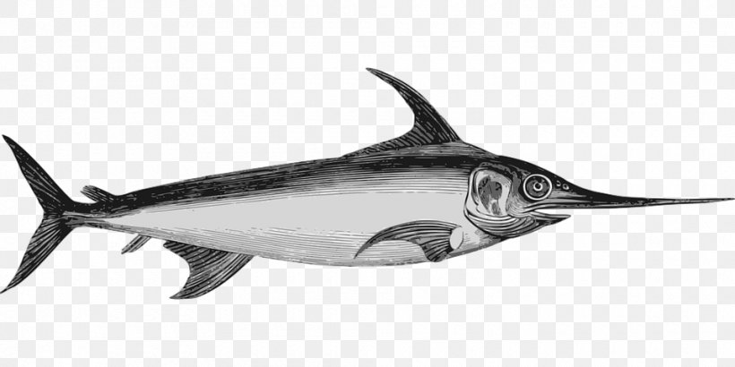 Swordfish Marlin Clip Art, PNG, 960x480px, Swordfish, Atlantic Blue Marlin, Billfish, Black And White, Black Marlin Download Free
