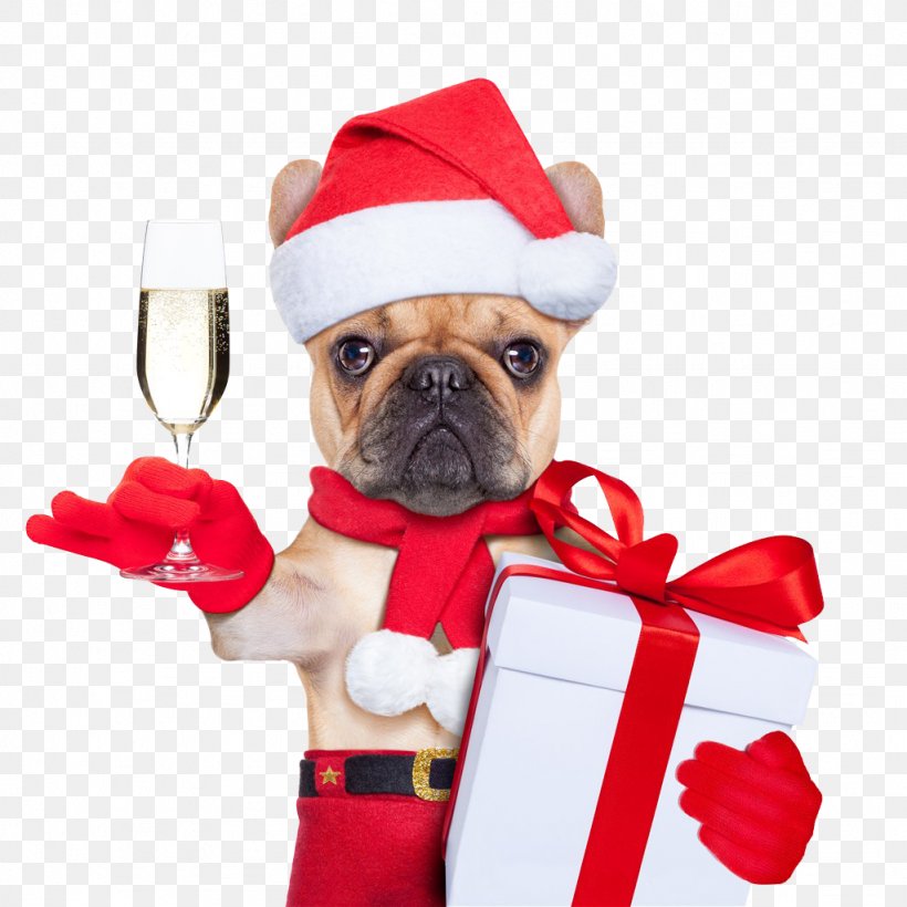 Dog Santa Claus Puppy Christmas Card, PNG, 1024x1024px, Dog, Carnivoran, Christmas, Christmas Card, Christmas Decoration Download Free
