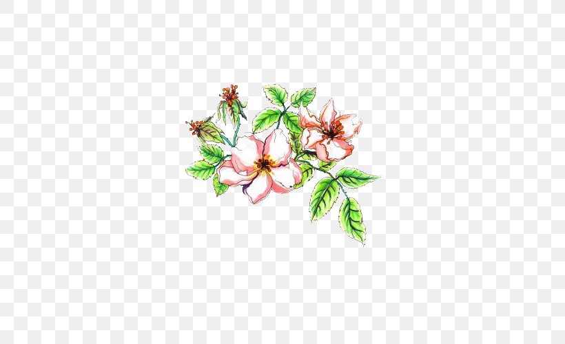 Flower Stock Photography Watercolor Painting Illustration, PNG, 500x500px, Flower, Art, Banco De Imagens, Blossom, Botanical Illustration Download Free