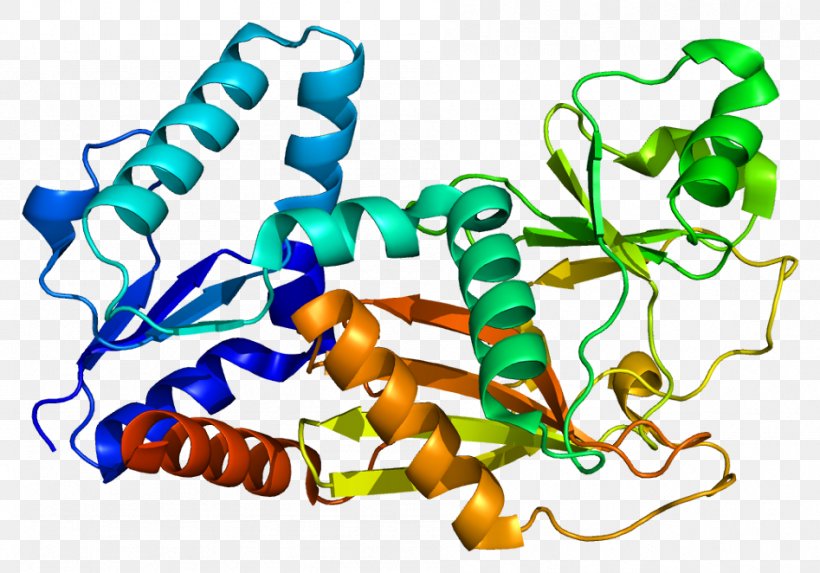 ITPK1 Inositol Phosphate Inositol-trisphosphate 3-kinase, PNG, 947x662px, Inositol, Artwork, Enzyme, Gene, Human Download Free