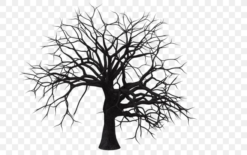Tree Branch Clip Art, PNG, 1024x645px, Tree, Art, Black And White, Branch, Deviantart Download Free