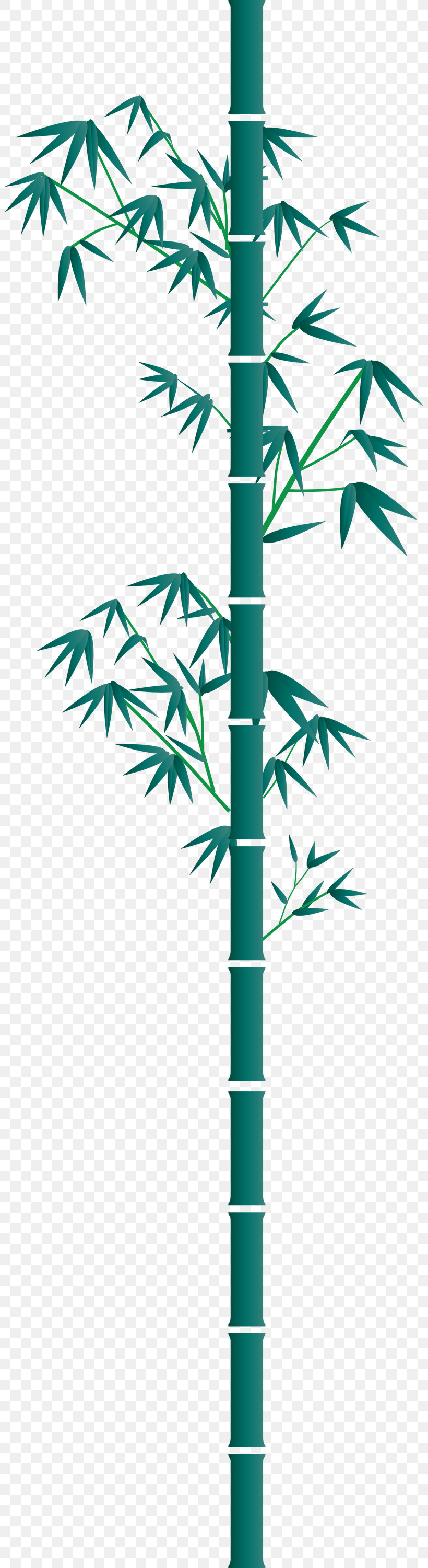 Bamboo Leaf, PNG, 800x3000px, Bamboo, Arecales, Branch, Hemp Family, Leaf Download Free