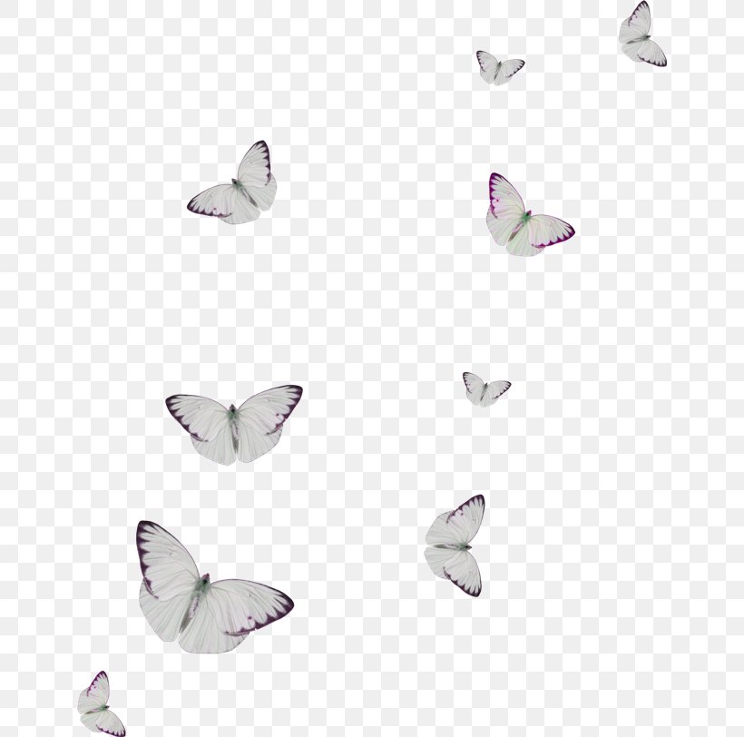Butterfly Clip Art, PNG, 650x812px, Butterfly, Concepteur, Insect, Invertebrate, Lossless Compression Download Free