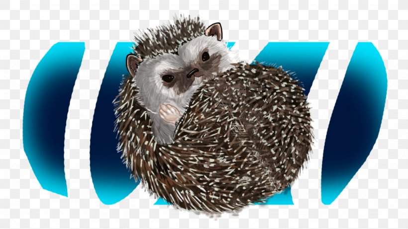 Domesticated Hedgehog Porcupine Fauna Domestication, PNG, 1024x576px, Domesticated Hedgehog, Domestication, Erinaceidae, Fauna, Hedgehog Download Free