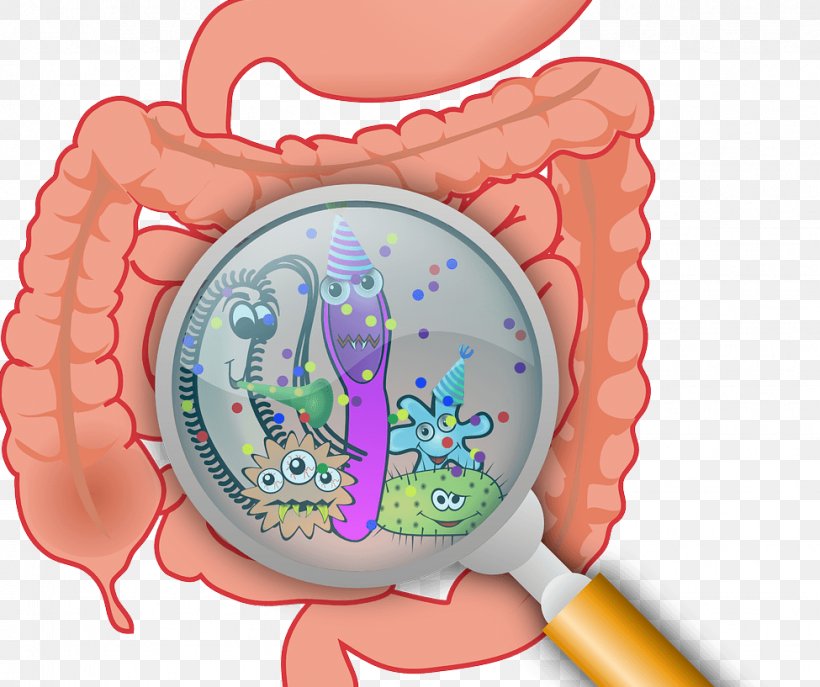 Gastrointestinal Tract Gut Flora Small Intestinal Bacterial Overgrowth Gastrointestinal Disease, PNG, 975x817px, Watercolor, Cartoon, Flower, Frame, Heart Download Free