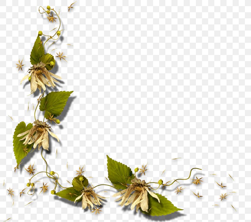 Picture Frame Clip Art, PNG, 800x727px, Picture Frame, Blossom, Branch, Digital Image, Display Resolution Download Free