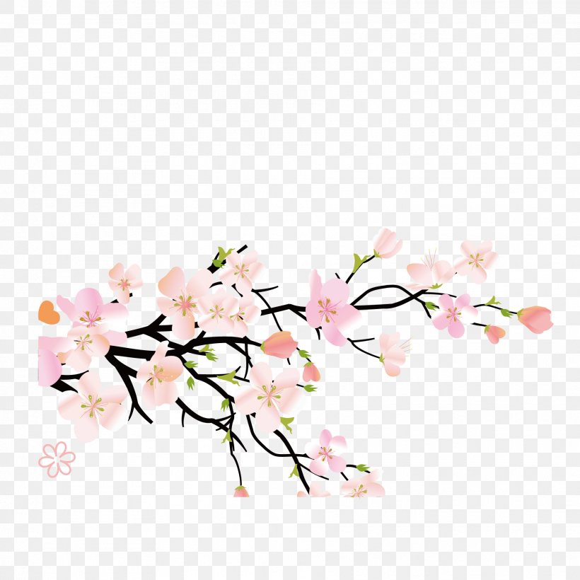U0e41u0e1bu0e23u0e23u0e39u0e1bu0e2au0e21u0e38u0e19u0e44u0e1eu0e23u0e1eu0e37u0e49u0e19u0e1au0e49u0e32u0e19u0e19u0e32u0e42u0e1eu0e18u0e34u0e4c Plum Blossom Peach Herb Fruit, PNG, 1875x1875px, Plum Blossom, Blossom, Branch, Cherry Blossom, Floral Design Download Free