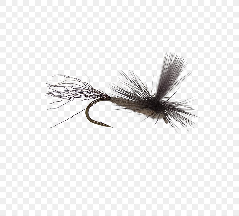 Artificial Fly Fly Fishing Crane Fly Holly Flies, PNG, 555x741px, Artificial Fly, Crane Fly, Drake, Fishing, Fly Fishing Download Free