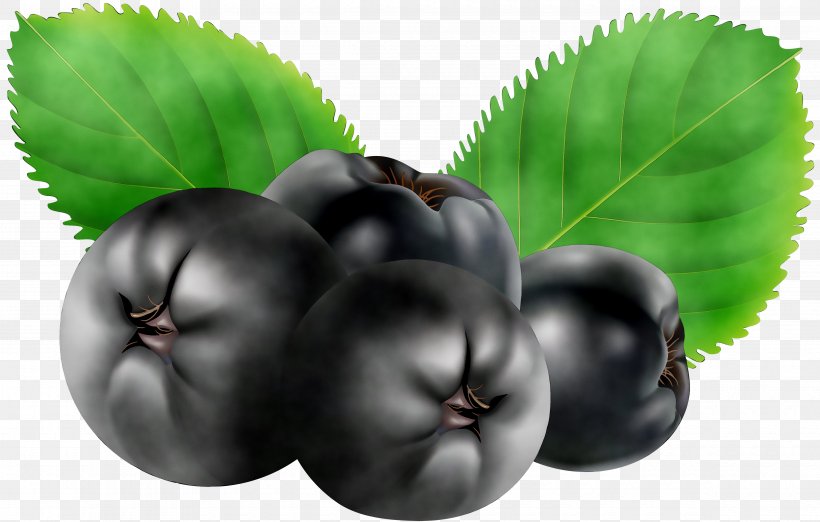 Bilberry Superfood Natural Foods Leaf, PNG, 4740x3018px, Bilberry, Berry, European Plum, Food, Fruit Download Free