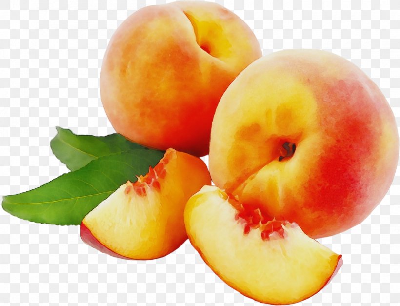 Fruit Juice, PNG, 1405x1075px, Plum, Accessory Fruit, Apple, Apricot, Cherries Download Free