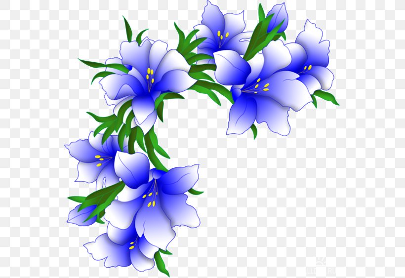 Borders And Frames Clip Art Image JPEG, PNG, 559x563px, Borders And Frames, Bellflower Family, Blue, Cut Flowers, Flora Download Free