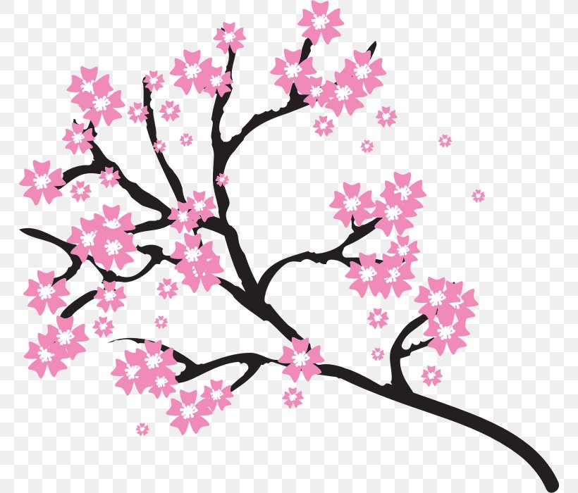 Cherry Blossom Drawing Clip Art, PNG, 768x700px, Cherry Blossom, Blossom, Branch, Cherry, Drawing Download Free
