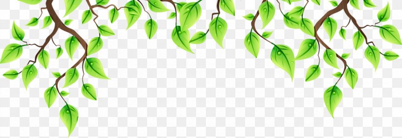 Green Leaf Background, PNG, 1280x443px, Leaf, Bichon Havanese, Blog, Branch, Flower Download Free