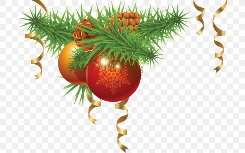 Christmas Decoration Christmas Ornament Christmas Tree, PNG, 700x513px, Christmas Decoration, Branch, Christmas, Christmas And Holiday Season, Christmas Card Download Free
