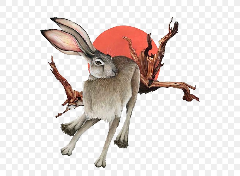 Domestic Rabbit Hare, PNG, 800x600px, Domestic Rabbit, Animal Figure, Fauna, Hare, Lebre Download Free