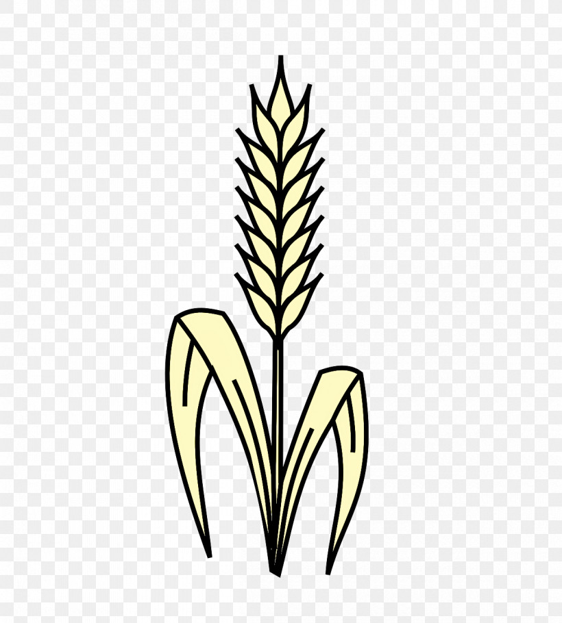 Grasses Leaf Plant Stem Flower Commodity, PNG, 1200x1332px, Grasses, Commodity, Flower, Grain, Leaf Download Free