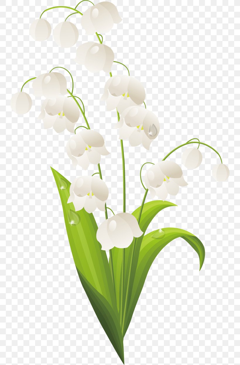 Lilium Lily Of The Valley Drawing, PNG, 749x1245px, Lilium, Cut Flowers, Drawing, Floral Design, Floristry Download Free