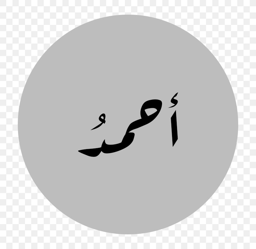 Name Quran Arabic Wikipedia Computer File Computer Program, PNG, 800x800px, Name, Arabic Language, Arabic Wikipedia, Black, Black And White Download Free