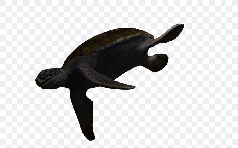 Sea Turtle, PNG, 1200x749px, 3d Computer Graphics, Sea Turtle, Animal, Animal Figure, Deviantart Download Free