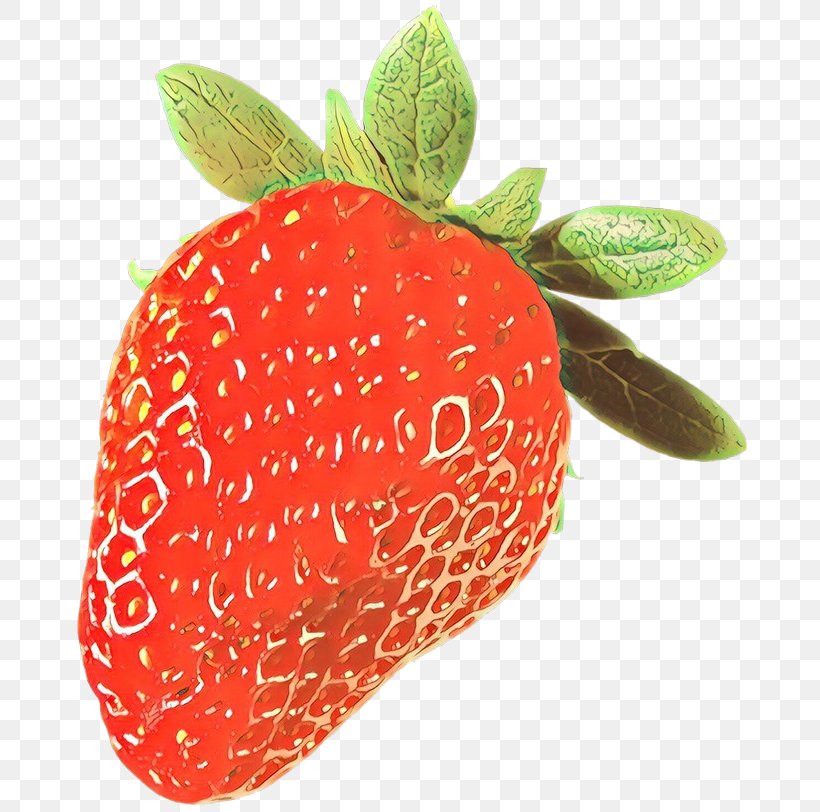 Strawberry Cartoon, PNG, 682x812px, Cartoon, Accessory Fruit, Anthurium, Berries, Berry Download Free