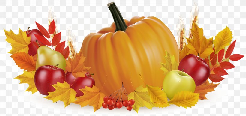 Thanksgiving Fruit Pumpkin Illustration, PNG, 3001x1419px, Thanksgiving, Autumn, Bell Peppers And Chili Peppers, Chili Pepper, Cornucopia Download Free