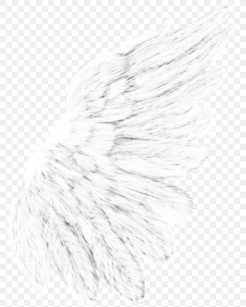 Black And White Drawing Monochrome Photography Feather, PNG, 1280x1600px, Black And White, Drawing, Feather, Line Art, Monochrome Download Free