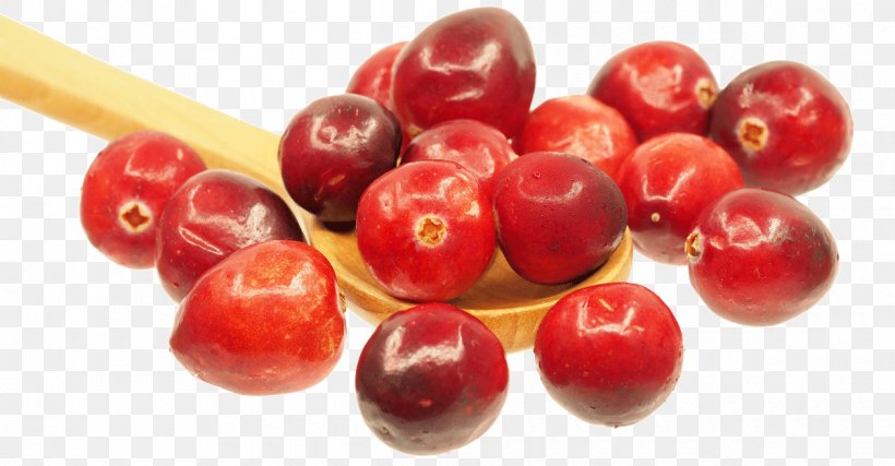 Cranberry Juice Cranberry Sauce Salsa Food, PNG, 1200x625px, Cranberry Juice, Acerola, Acerola Family, Berry, Cherry Download Free