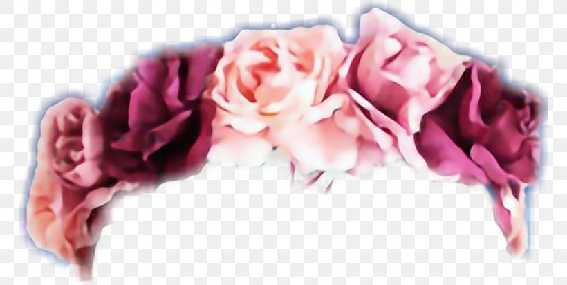 Garden Roses GIF Flower Desktop Wallpaper Wreath, PNG, 764x412px, Garden Roses, Clothing Accessories, Crown, Cut Flowers, Floral Design Download Free