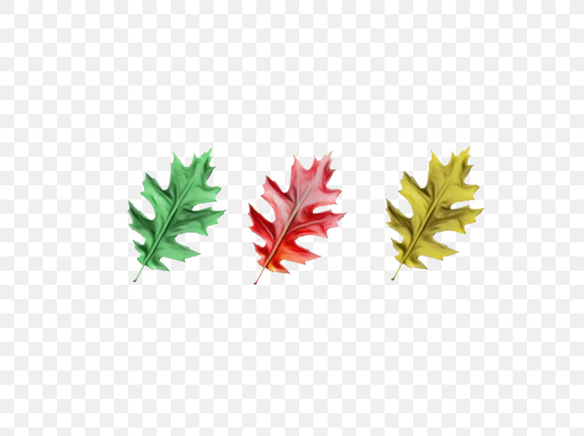 Leaf Maple Leaf / M Meter Tree Plant, PNG, 612x612px, Watercolor, Biology, Leaf, Maple Leaf M, Meter Download Free