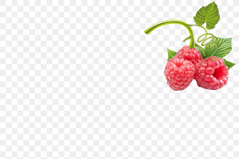 Red Raspberry Fruit Strawberry, PNG, 1969x1312px, Raspberry, Auglis, Berry, Designer, Food Download Free