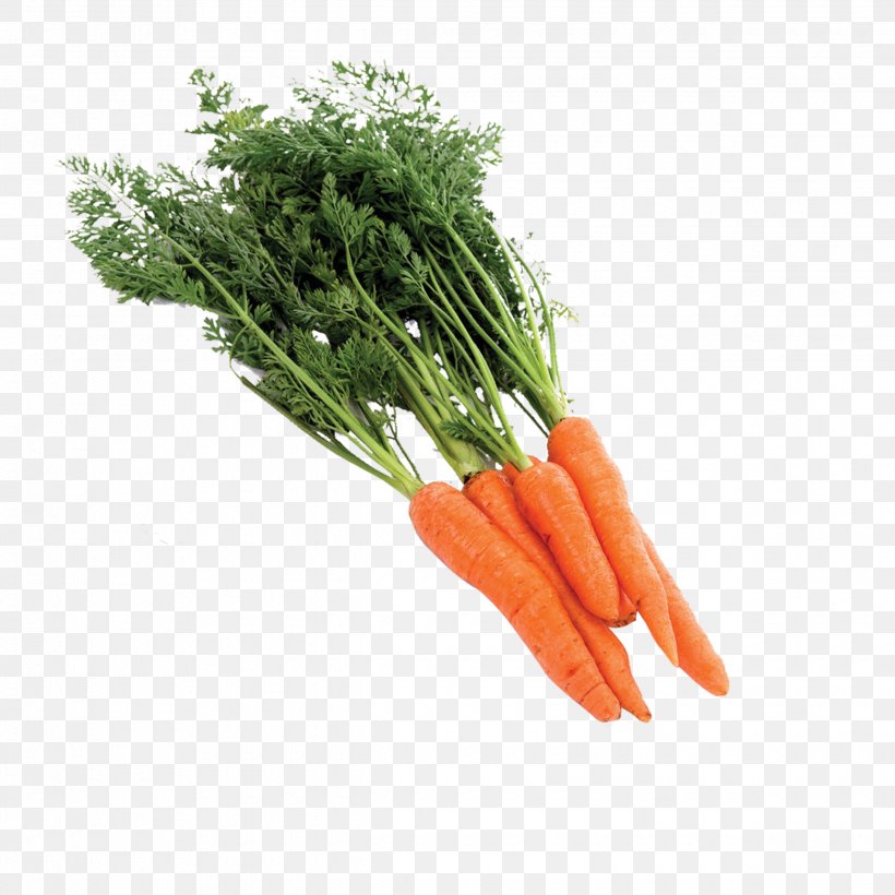 Baby Carrot Radish, PNG, 2480x2480px, Carrot, Baby Carrot, Daucus Carota, Diet Food, Food Download Free