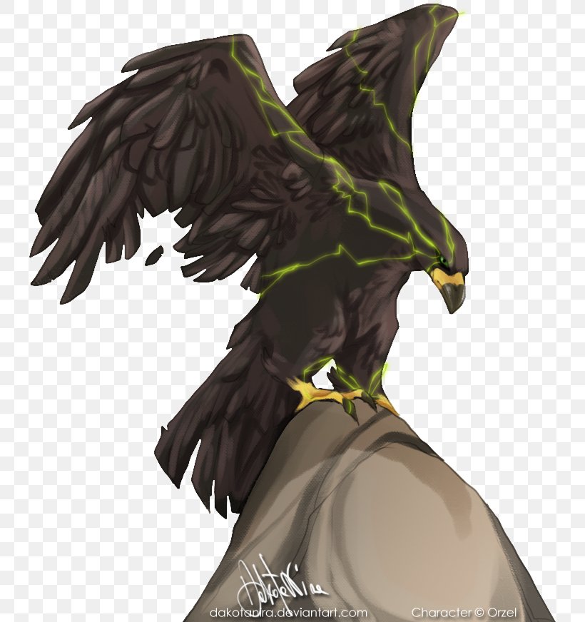 Bald Eagle Beak Figurine, PNG, 740x872px, Bald Eagle, Beak, Bird, Bird Of Prey, Eagle Download Free