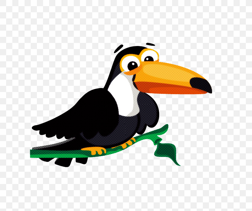 Bird Toucan Beak Cartoon Piciformes, PNG, 689x688px, Bird, Beak, Cartoon, Flightless Bird, Hornbill Download Free