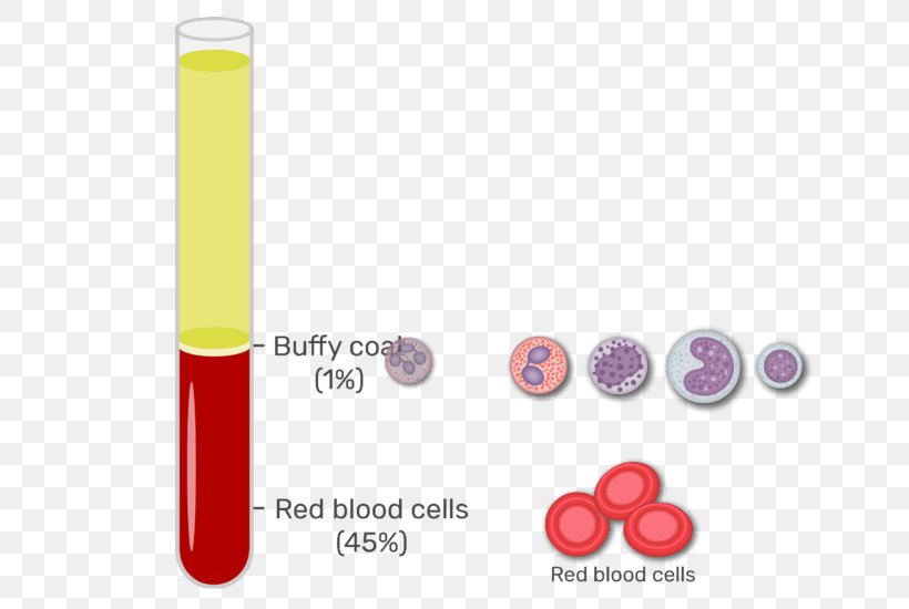 Buffy Coat Red Blood Cell Blood Plasma White Blood Cell, PNG, 666x550px, Buffy Coat, Blood, Blood Cell, Blood Plasma, Blood Test Download Free
