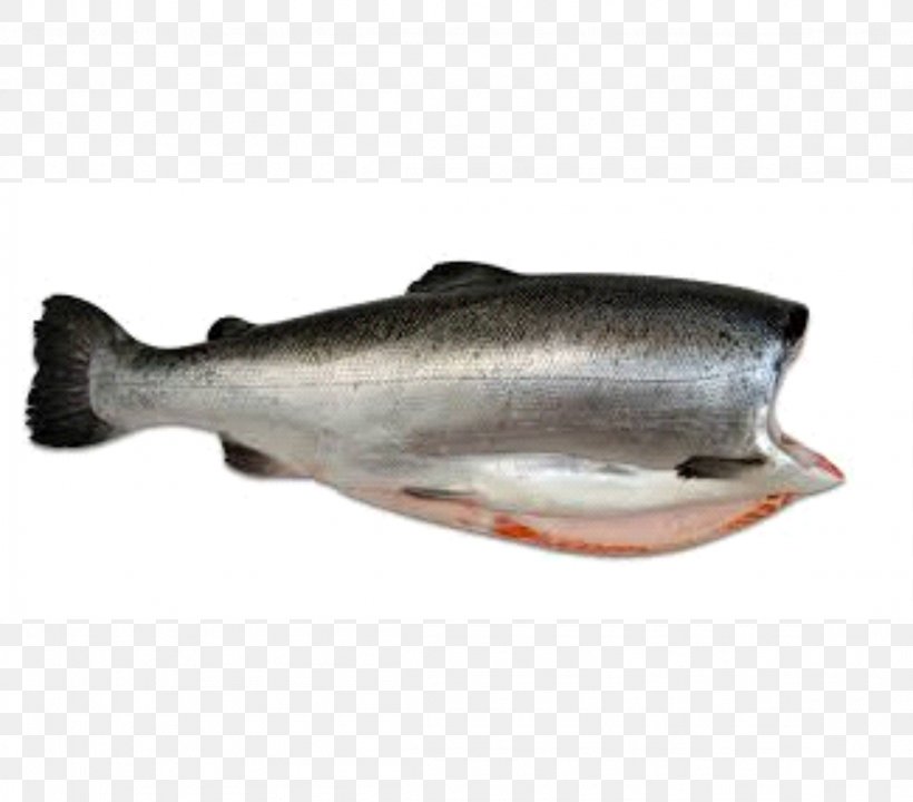 Coho Salmon Oily Fish Seafood, PNG, 2309x2029px, Salmon, Animal, Barramundi, Bony Fish, Capelin Download Free